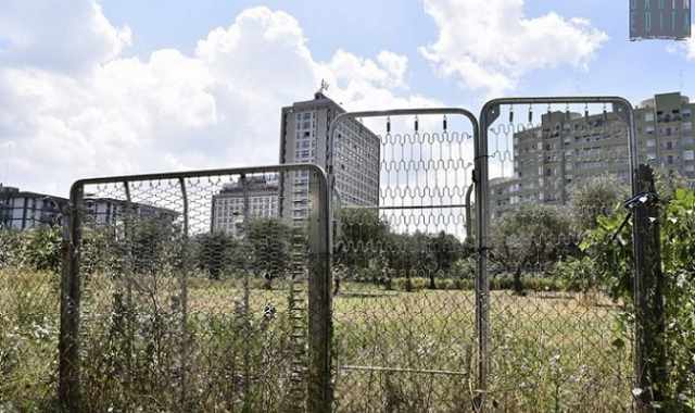 Orti all'ombra dei grattacieli: Poggiofranco, dove cemento e verde convivono in sintonia